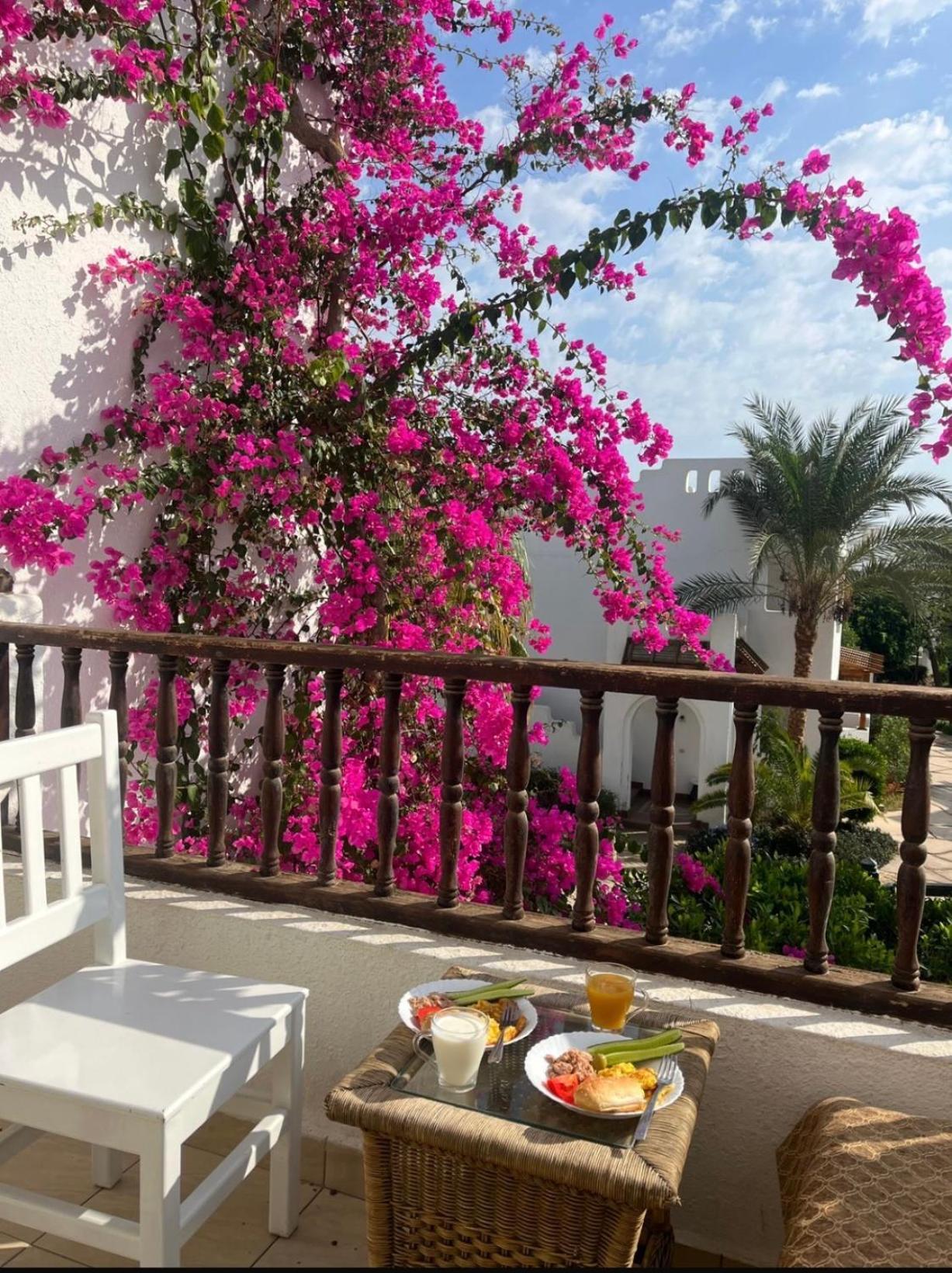 Ferienwohnung Delta Sharm Exterior foto